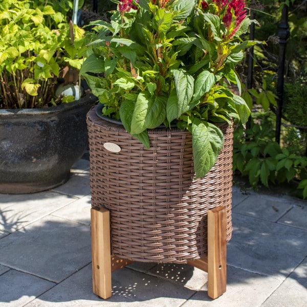 Brown Wicker Planter with Stand